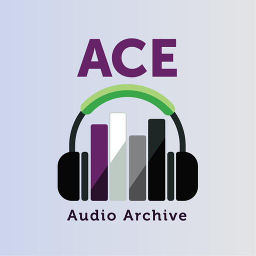 The Ace Audio Archive Cover Art